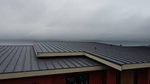 Steel Roofing in Westwood Shores, TX